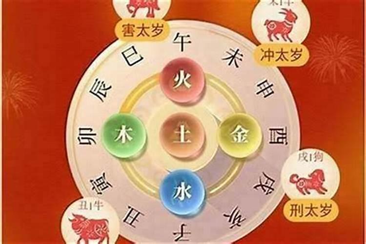 属虎在哪一年犯太岁？