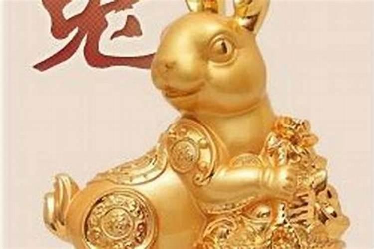 七五年的属兔人在今年的运势