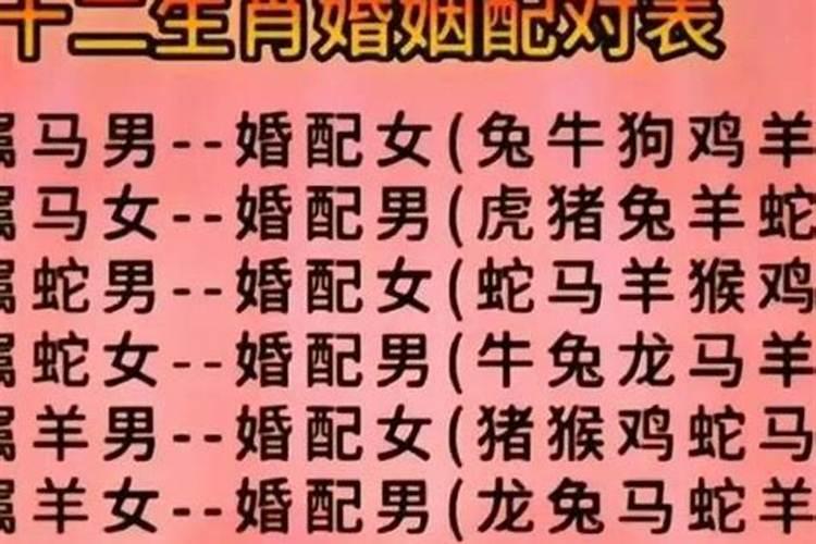 男狗女猪属相婚配可以吗？