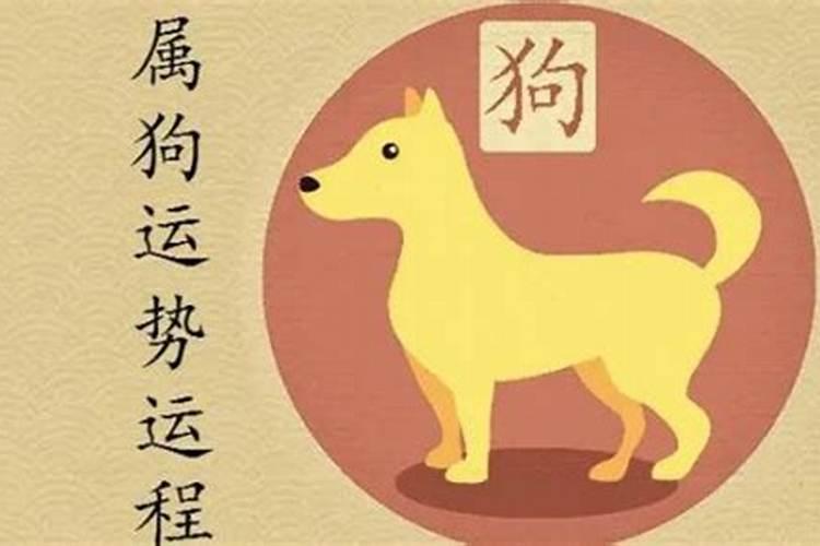 狗年的3月运势怎么样？