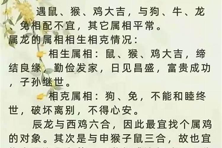 属龙女和什么属相合婚？