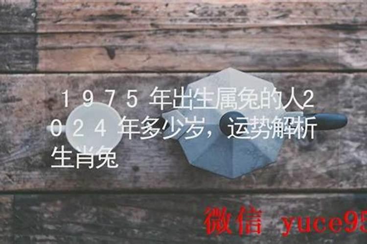 1975年2027年运势解析