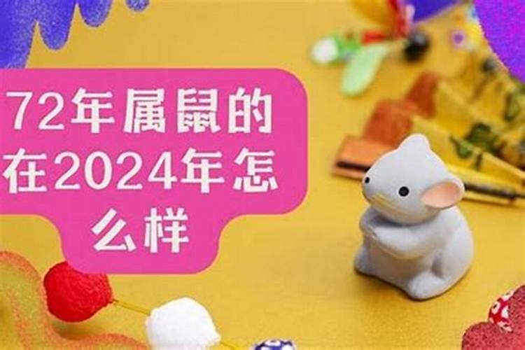 72鼠年生人2027年运程