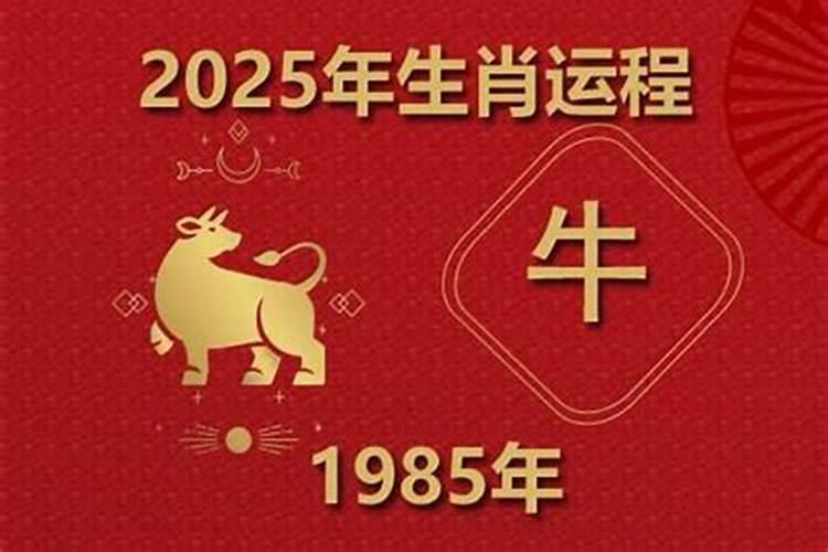 85年属牛的人鸡年运势如何？