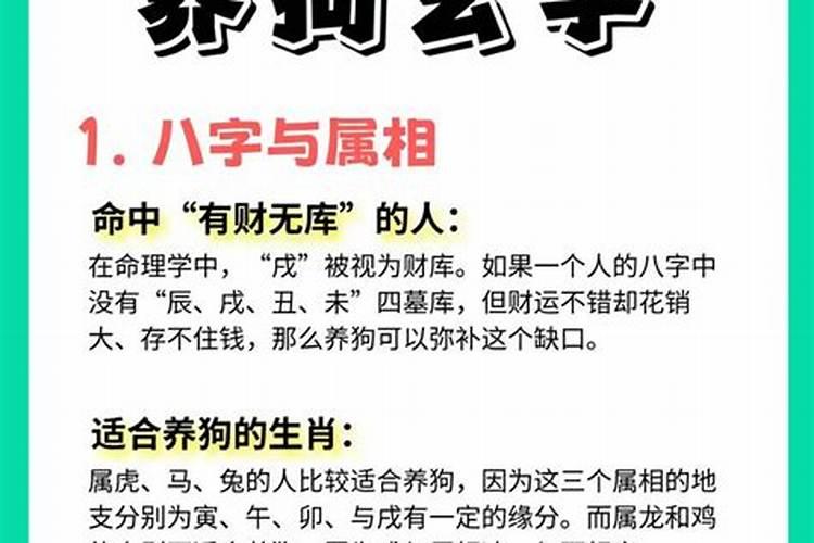 养狗会影响全家人的运势吗？
