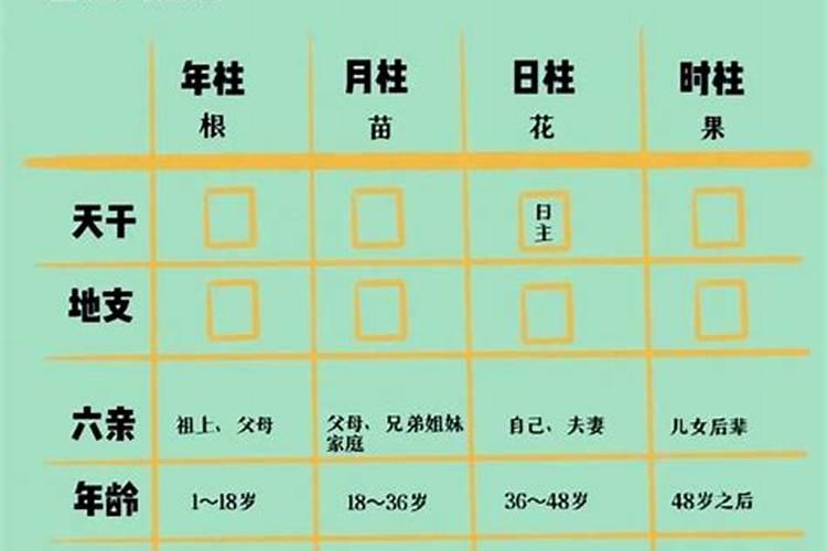 八字合婚年柱代表什么？