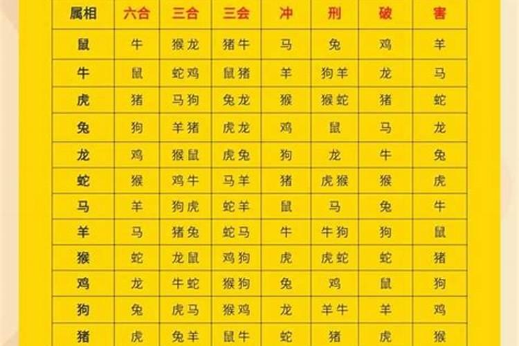 香港师批八字哪个好？