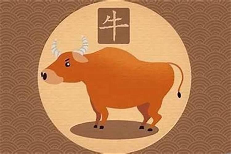 出生在腊月十五的牛宝宝