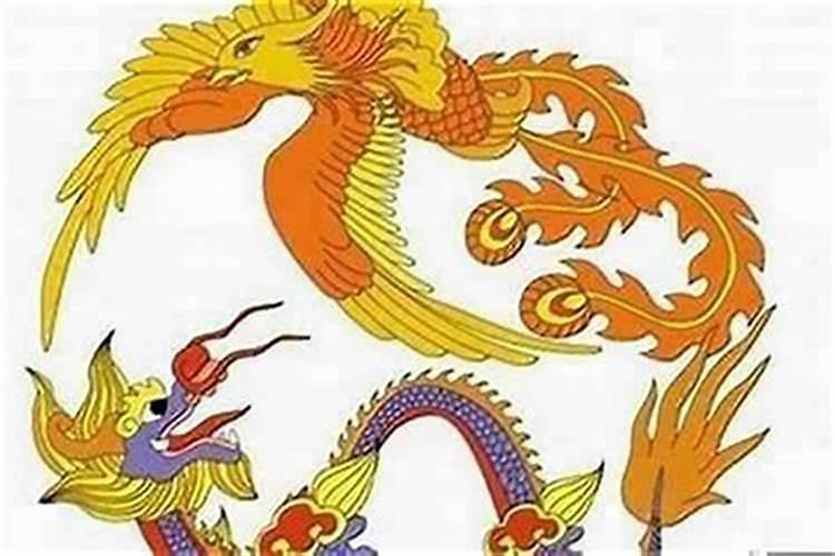 男属龙与女属相婚配好吗？