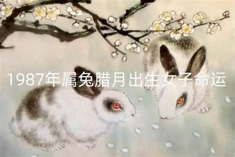 腊月出生的女生命运