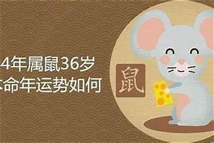 84年的老鼠2027年运势