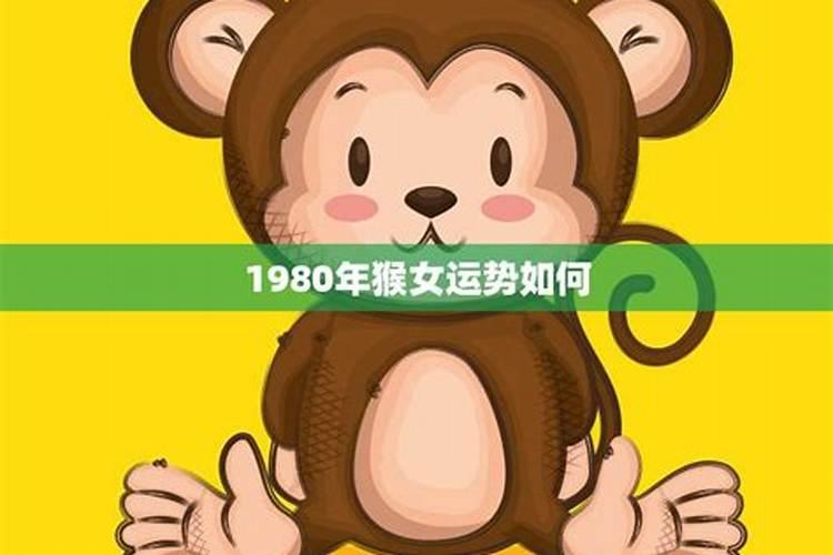 1980的猴明年运势如何？