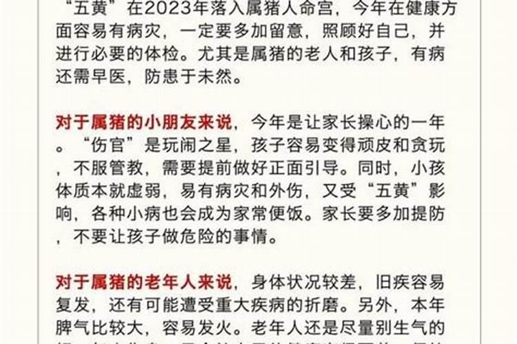 属猪的人本月运势如何？