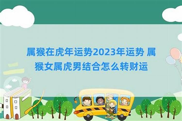 属猴女属虎男结合怎么转财运？