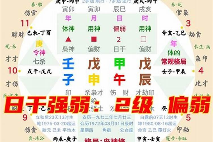 冬至日出生甲木