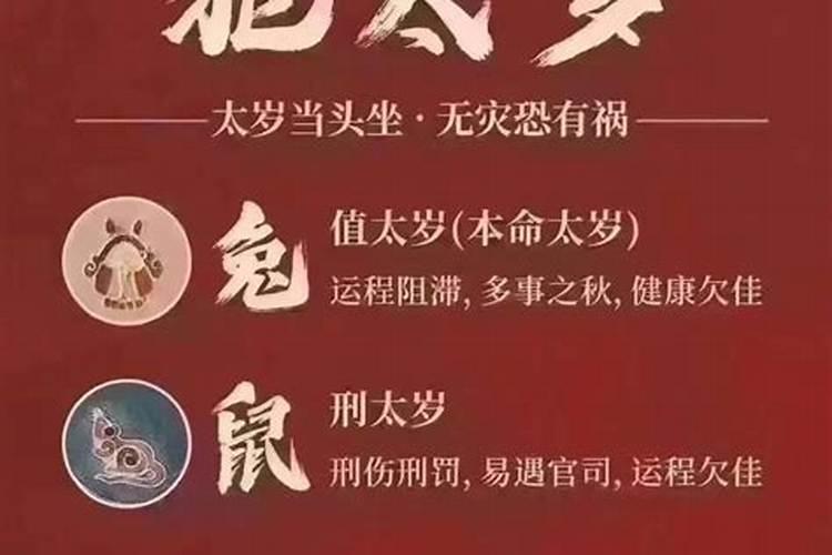 属兔刑太岁注意什么？