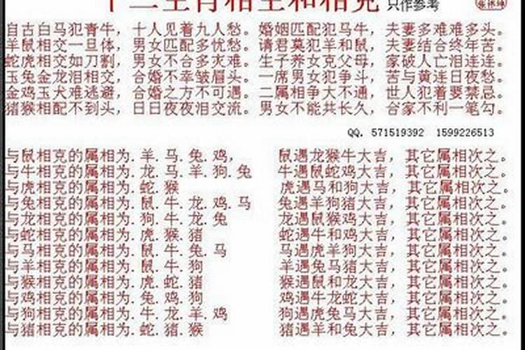 属狗的最佳婚配是什么属相？