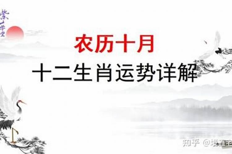 属鸡农历十月运程如何？