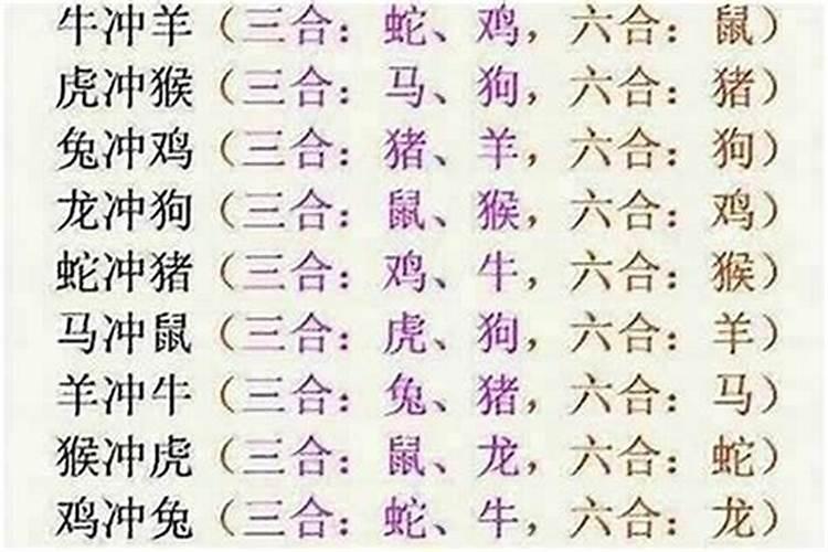属龙和属羊女八字合吗？