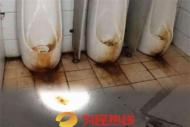 梦见上厕所很脏想吐