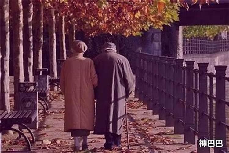 梦到有人死了被分尸