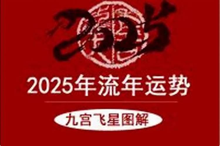 81出身2027年运势