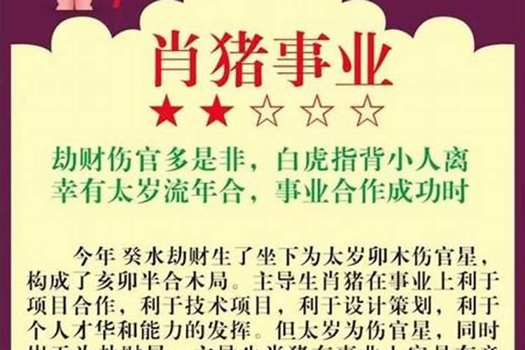 猪人2027年运势男性