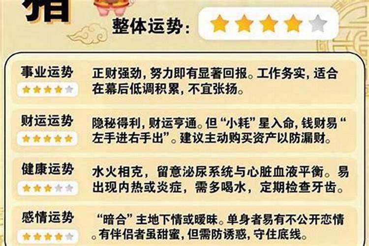 属猪今年学业运势如何？