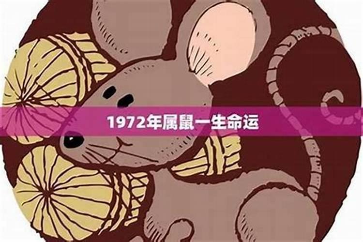 1972鼠年2027年运程