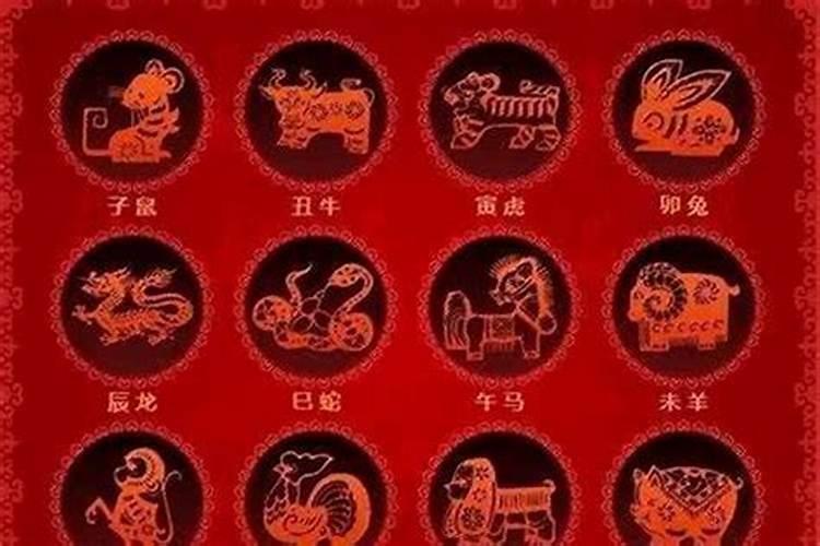 七月生肖牛运势如何？