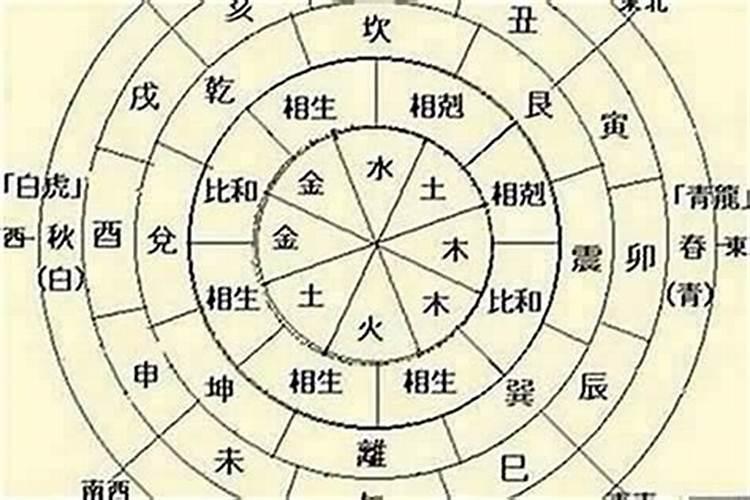 大运主要看地支还是天干？