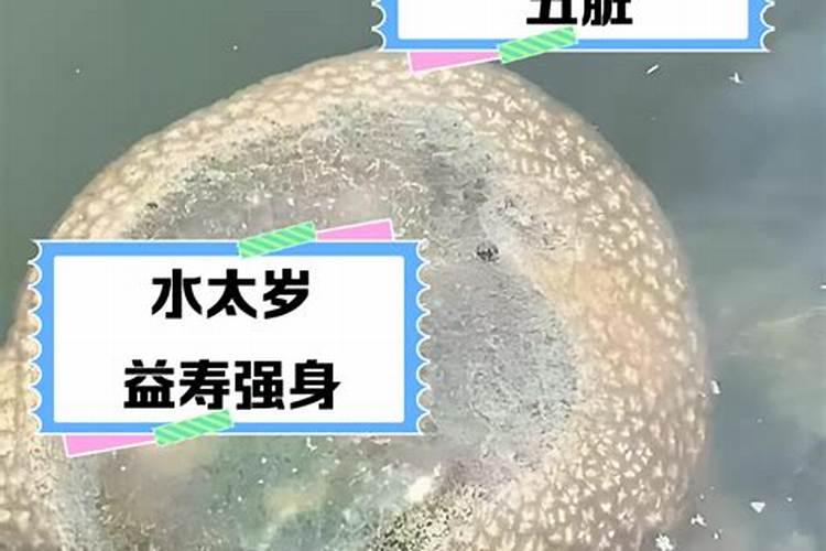 太岁水的功效和作用