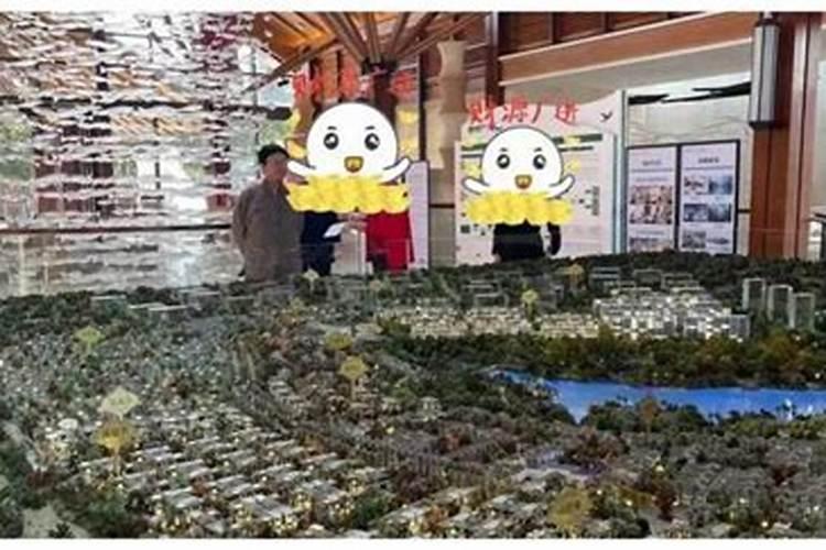 风水老师王晓竹
