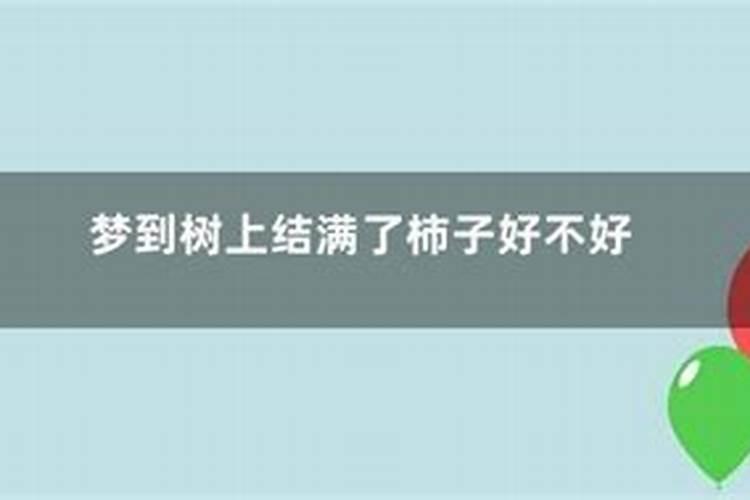 梦到坟上长柿子树好不好？