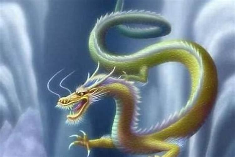 白天梦见龙是什么预兆解梦？