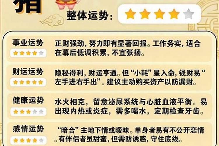 属猪人24岁今年运势如何？