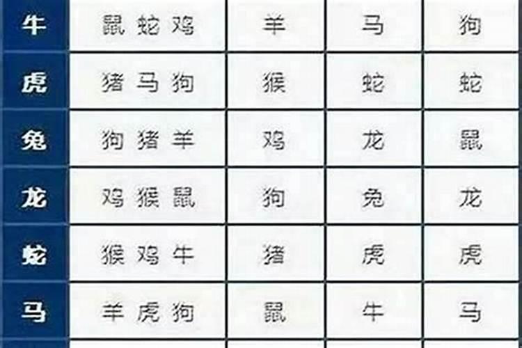 属鼠的和什么属相最配相克？