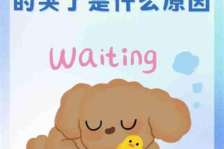 自己做梦哭醒预示什么？