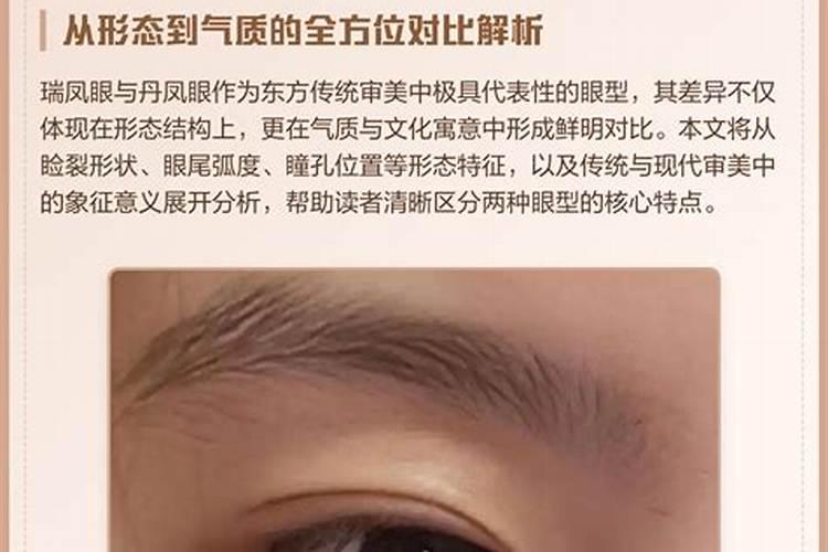 瑞凤眼的人命运如何？