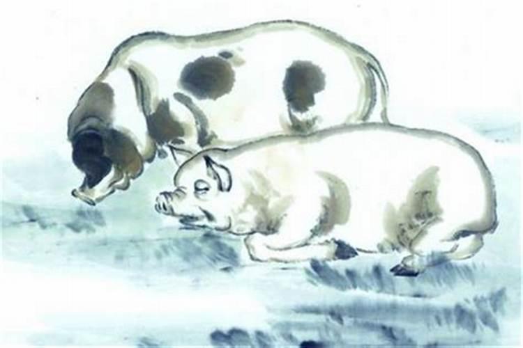 属相猪和猪婚配相冲吗？