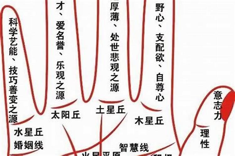 女生婚姻不顺的手相