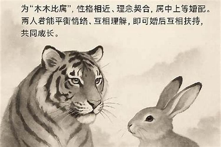 女属兔男虎八字合吗？