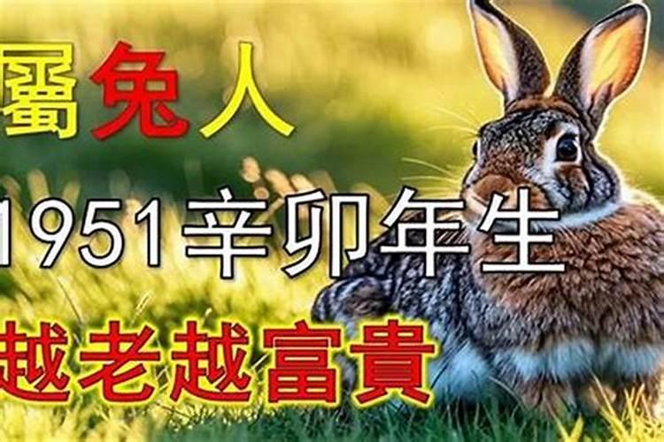 1951年属龙2027年运势如何？
