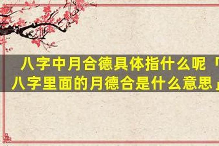 八字里月德合是什么意思？