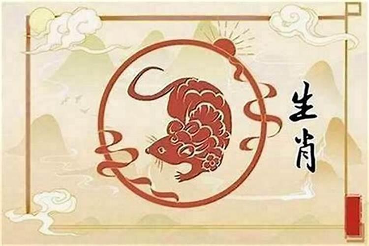 属鼠和属兔的八字合不合