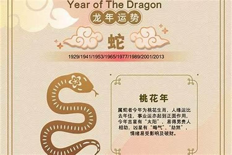 十二生肖属蛇羊今年的运程