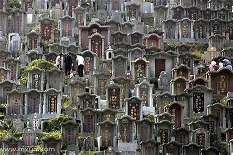 梦见坟地是什么意思呀？