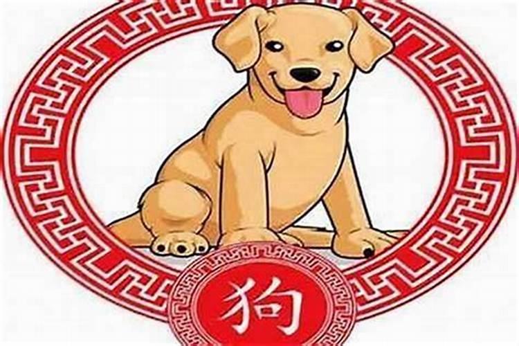 12月份出生狗的运势如何？
