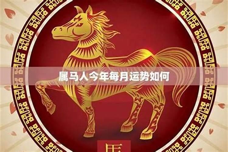 小孩子属马的今年运势怎么样？