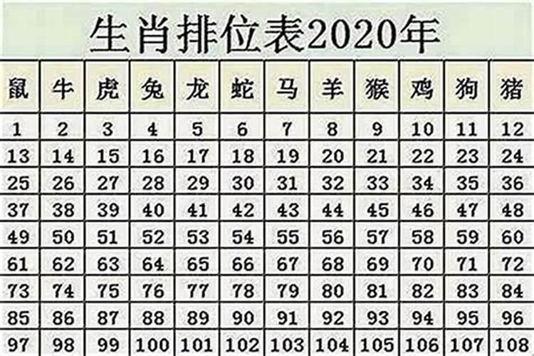 农历腊月十九出生的鼠宝宝